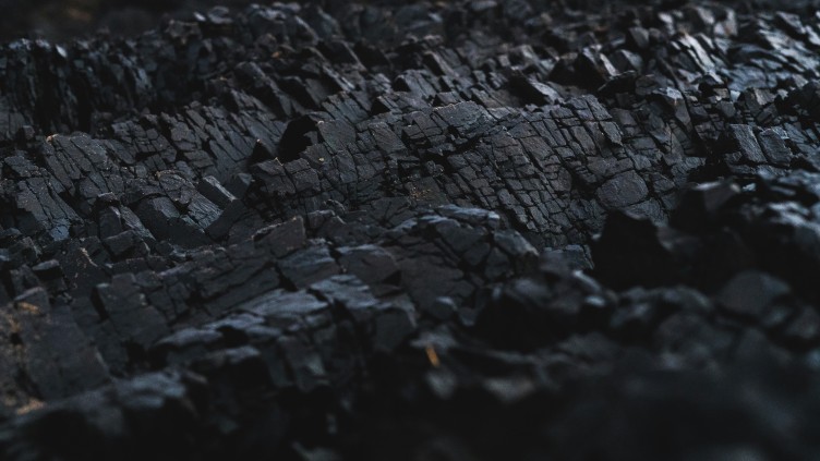 The Carbon removal gamble