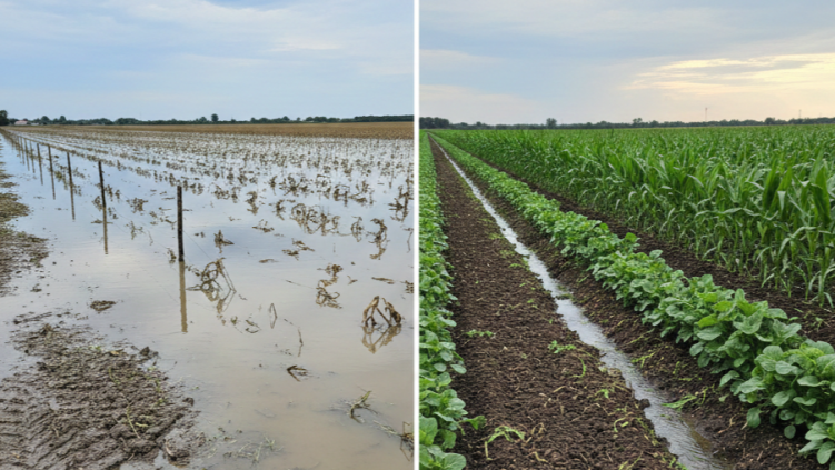 From drought to flooding: What does it tell us about soil health