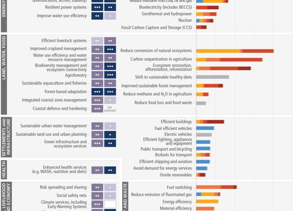 The IPCC 6th report