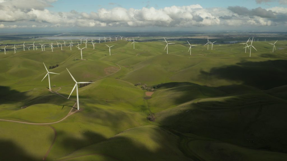 Carbon markets