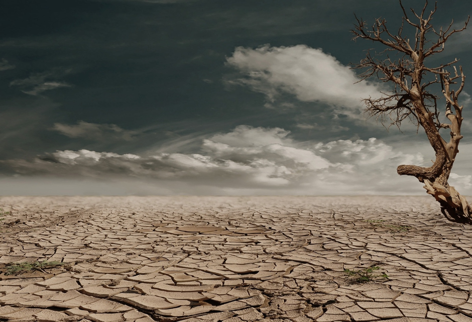 Regenerative agriculture