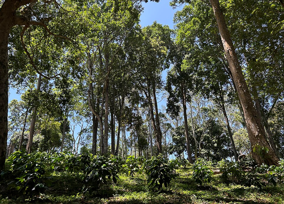 When the seasons shift : when adaptation is no longer enough